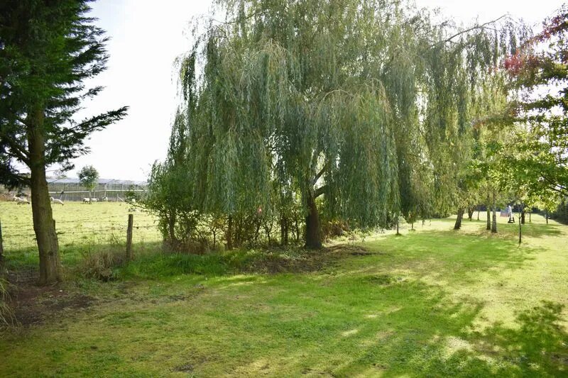 Historic Garden photos 2017 (source Zoopla)